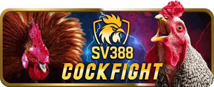 Các tính năng nổi bật của sảnh đá gà 555win12